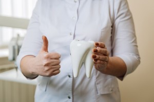 大きい歯の模型と男性の指