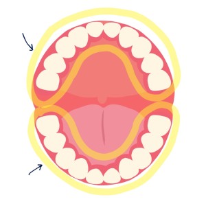 歯列矯正　歯並び　ワイヤー矯正　マウスピース矯正　池袋　矯正歯科