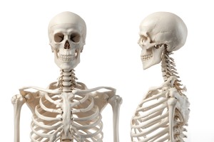 矯正 嚙み合わせ 姿勢